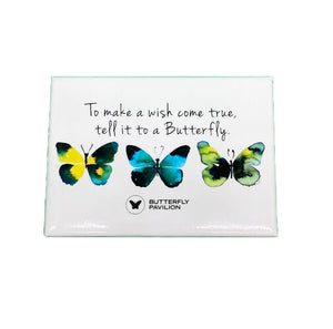 Rectangular magnet with white background. 3 blue, yellow, green, and black butterflies under the words "To make a wish come true, tell it to a butterfly." Butterfly Pavilion logo at the bottom.