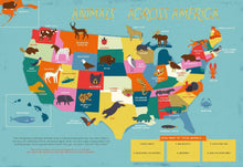 Load image into Gallery viewer, The 50 States Activity Book