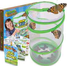 Load image into Gallery viewer, Butterfly Hatching Kit