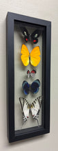 Load image into Gallery viewer, One of a Kind 5 Count Butterfly Frame