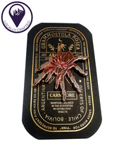 Load image into Gallery viewer, Rosie Tarantula Pin