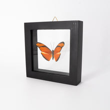 Load image into Gallery viewer, Small Butterfly Frame