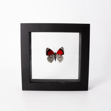 Load image into Gallery viewer, Small Butterfly Frame