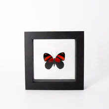 Load image into Gallery viewer, Small Butterfly Frame