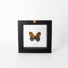 Load image into Gallery viewer, Small Butterfly Frame