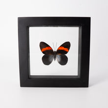 Load image into Gallery viewer, Small Butterfly Frame