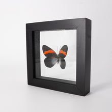 Load image into Gallery viewer, Small Butterfly Frame