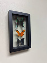 Load image into Gallery viewer, One of a Kind 3 Count Butterfly Frame