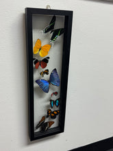 Load image into Gallery viewer, One of a Kind 9 Count Butterfly Frame