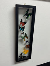 Load image into Gallery viewer, One of a Kind 9 Count Butterfly Frame