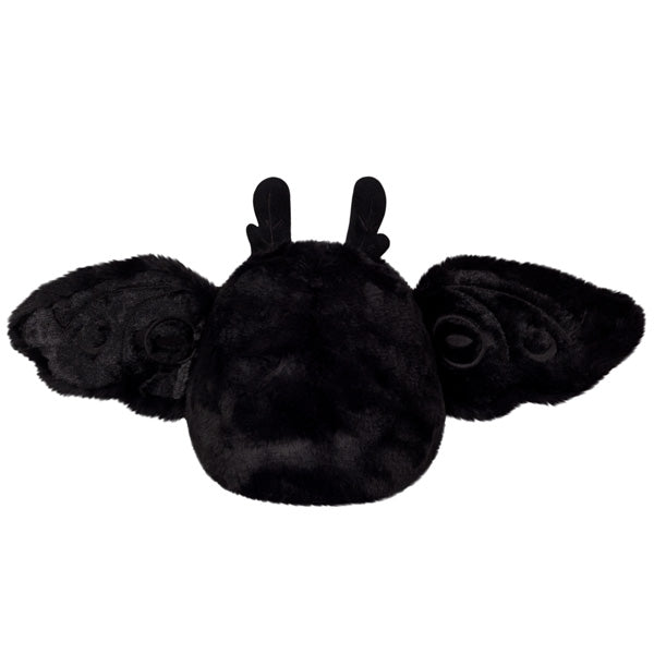 http://shop.butterflies.org/cdn/shop/files/Mothman2_1200x1200.jpg?v=1691347781