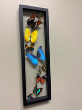 Load image into Gallery viewer, One of a Kind 9 Count Butterfly Frame
