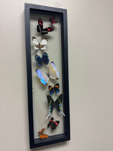 Load image into Gallery viewer, One of a Kind 9 Count Butterfly Frame