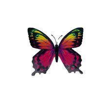 Load image into Gallery viewer, Glow-in-the-Dark Butterfly Magnets