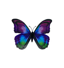 Load image into Gallery viewer, Glow-in-the-Dark Butterfly Magnets