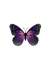 Load image into Gallery viewer, Glow-in-the-Dark Butterfly Magnets