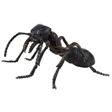 Load image into Gallery viewer, TEDCO Toy Gross Insect 3D Interlocking Blocks Puzzle of giant black ant on white background.
