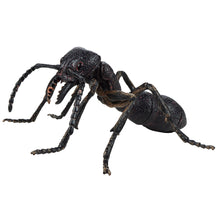 Load image into Gallery viewer, TEDCO Toy Gross Insect 3D Interlocking Blocks Puzzle of giant black ant on white background.