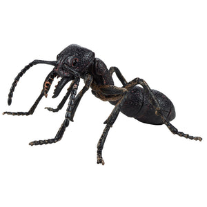 TEDCO Toy Gross Insect 3D Interlocking Blocks Puzzle of giant black ant on white background.