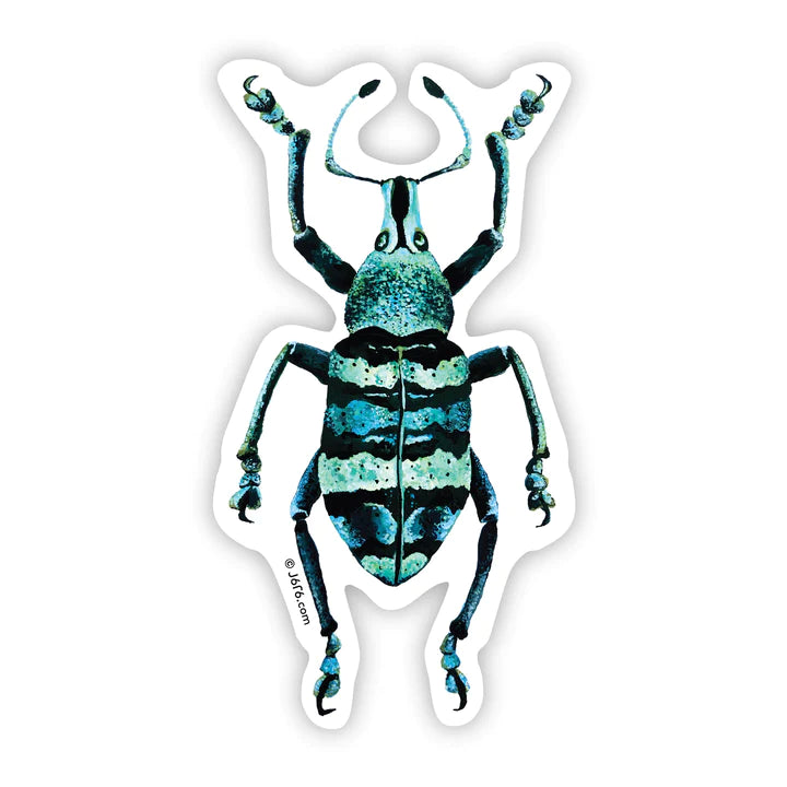 Weevil Bug Vinyl Sticker