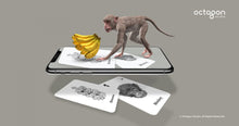 Load image into Gallery viewer, 4D+ Animal Alphabet Cards