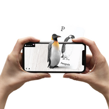 Load image into Gallery viewer, 4D+ Animal Alphabet Cards