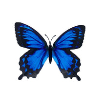 Load image into Gallery viewer, Glow-in-the-Dark Butterfly Magnets