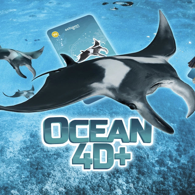 Ocean 4D+ Cards Butterfly Pavilion