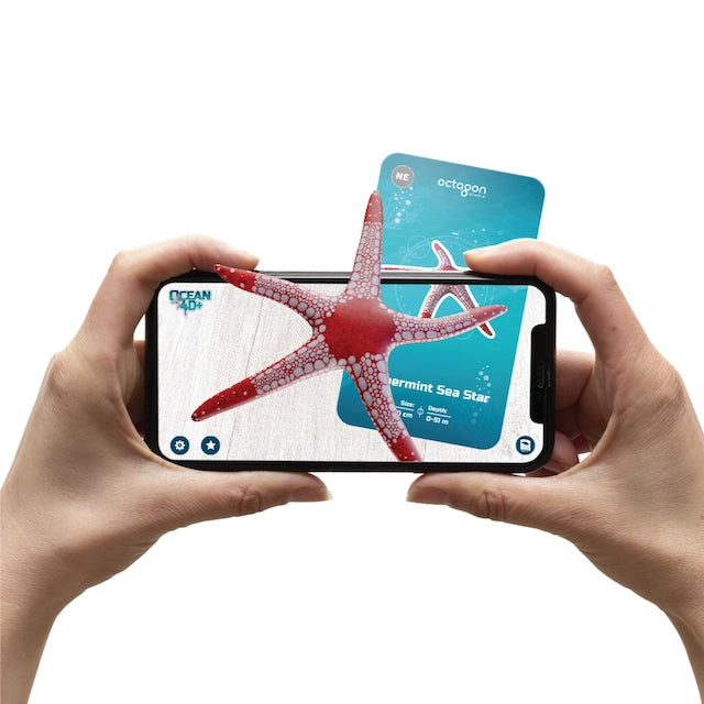 Ocean 4D+ Cards Butterfly Pavilion