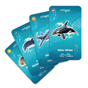 Ocean 4D+ Cards