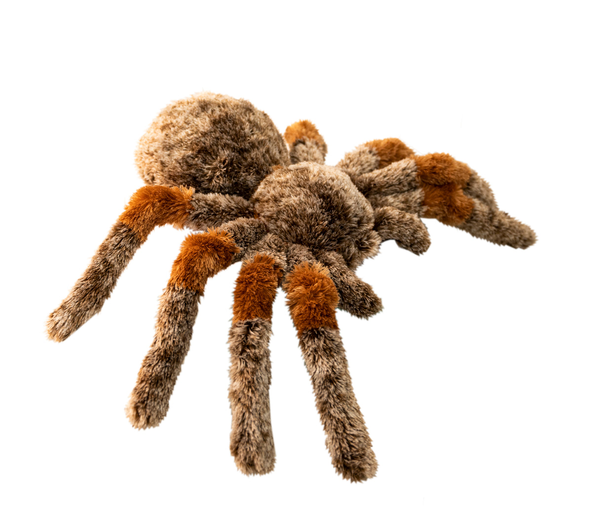 Wishpets rosie the chilean rose hair tarantula soft stuffed animal plush toy side view.