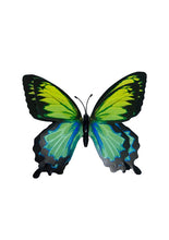 Load image into Gallery viewer, Glow-in-the-Dark Butterfly Magnets