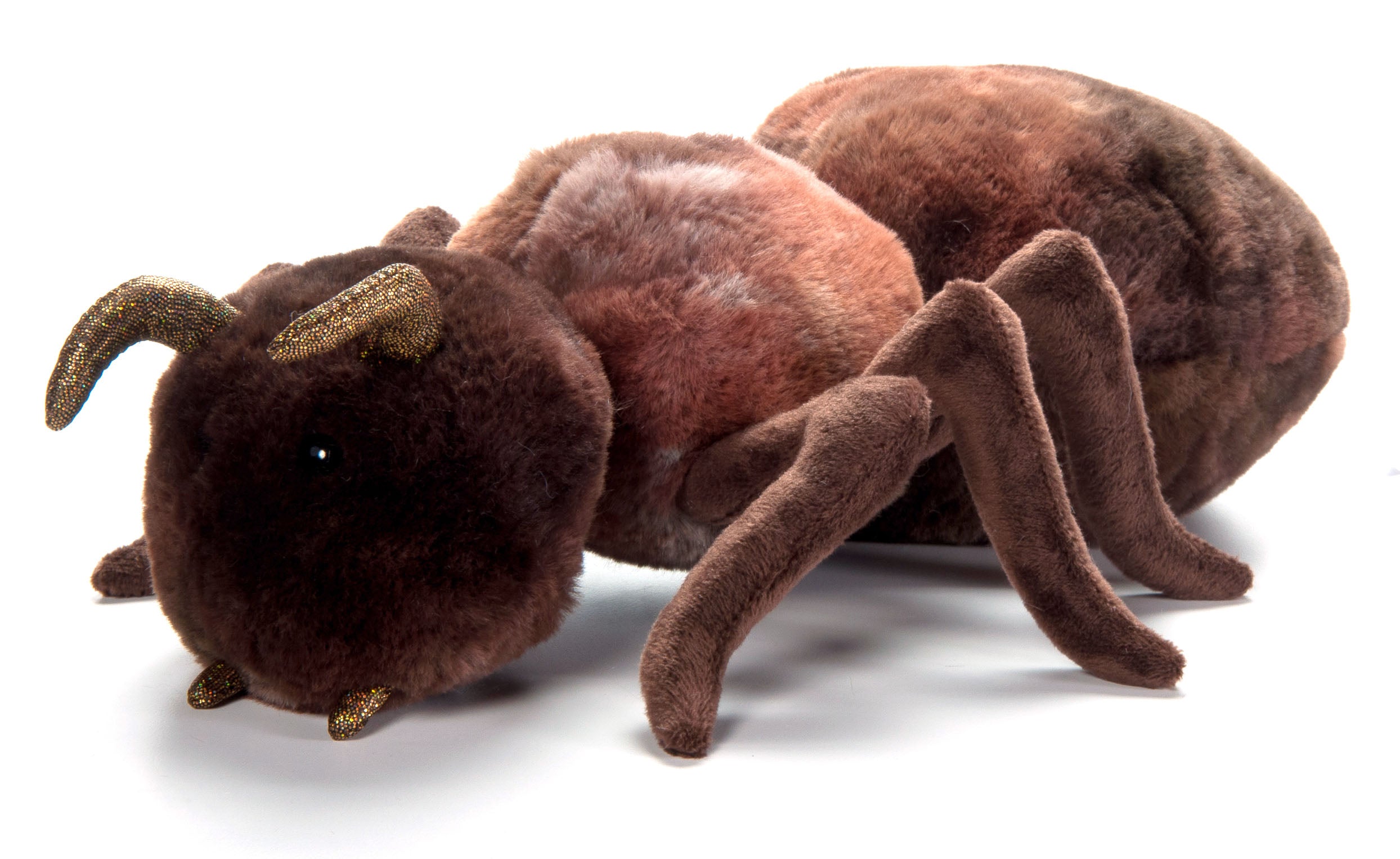 Wild Onez Ant Plush Butterfly Pavilion