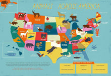 Load image into Gallery viewer, The 50 States Activity Book

