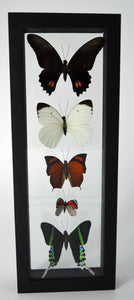 One of a Kind 5 Count Butterfly Frame