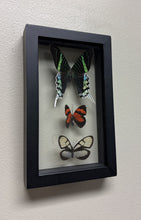Load image into Gallery viewer, One of a Kind 3 Count Butterfly Frame
