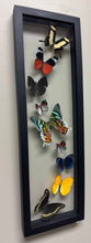 Load image into Gallery viewer, One of a Kind 9 Count Butterfly Frame
