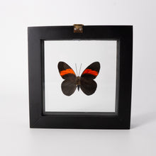 Load image into Gallery viewer, Small Butterfly Frame
