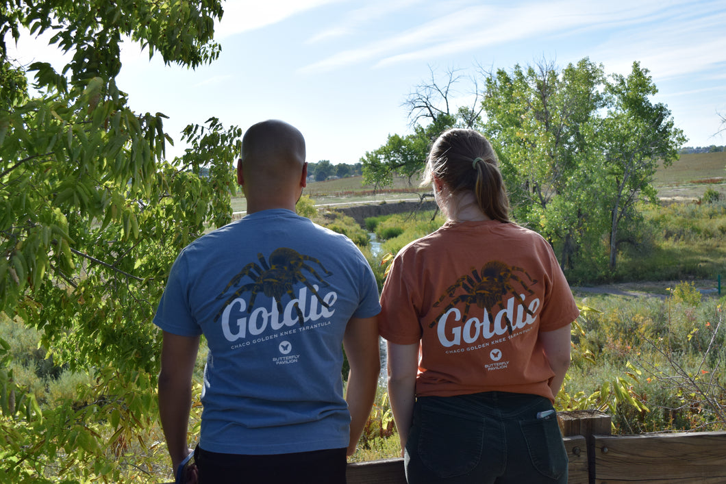 Goldie Tees: Celebrating the Golden-Knee Tarantula