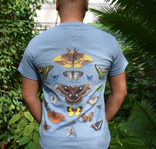 Load image into Gallery viewer, Adult Lepidoptera Tee
