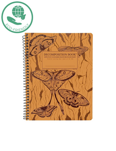 "Decomposition" Notebooks