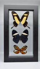 Load image into Gallery viewer, One of a Kind 3 Count Butterfly Frame
