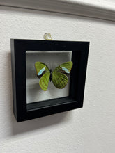 Load image into Gallery viewer, Small Butterfly Frame
