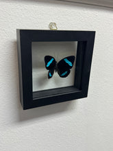Load image into Gallery viewer, Small Butterfly Frame
