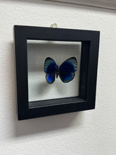 Load image into Gallery viewer, Small Butterfly Frame
