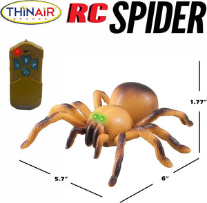 RC Spider