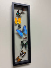 Load image into Gallery viewer, One of a Kind 9 Count Butterfly Frame
