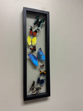 Load image into Gallery viewer, One of a Kind 9 Count Butterfly Frame
