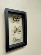 Load image into Gallery viewer, One of a Kind 3 Count Butterfly Frame
