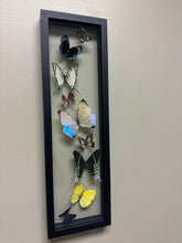 Load image into Gallery viewer, One of a Kind 9 Count Butterfly Frame
